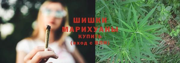 тгк Осинники