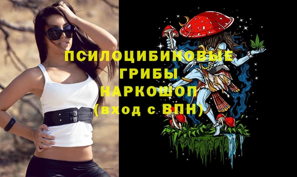 кристаллы Няндома