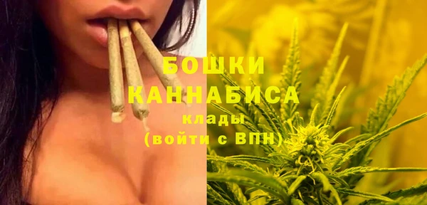 тгк Осинники
