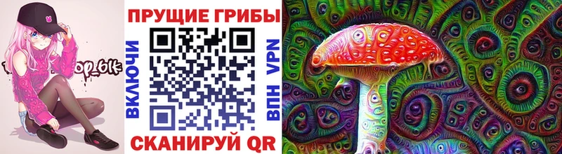Галлюциногенные грибы мухоморы  где можно купить наркотик  мега как зайти  Зеленокумск 